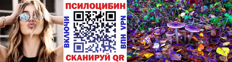 что такое   Котельники  KRAKEN зеркало  Псилоцибиновые грибы ЛСД 