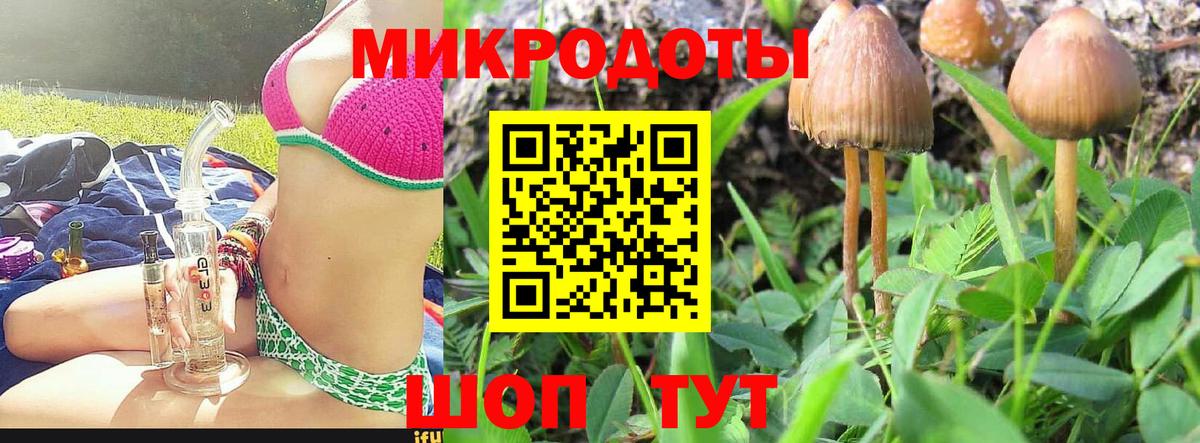 Галлюциногенные грибы мицелий Котельники