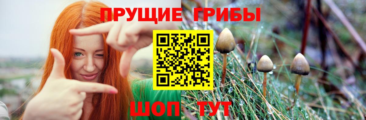 Галлюциногенные грибы Cubensis  даркнет сайт  Котельники  Вход с VPN  Псилоцибиновые грибы Psilocybine cubensis 